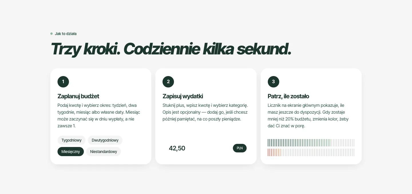 Finemy’s ‘Jak to działa’ section: three steps, plan the budget, log expenses, see what’s left.